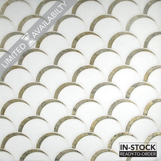 Scallop in Mesmerize