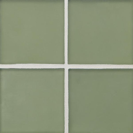 Equator Matte